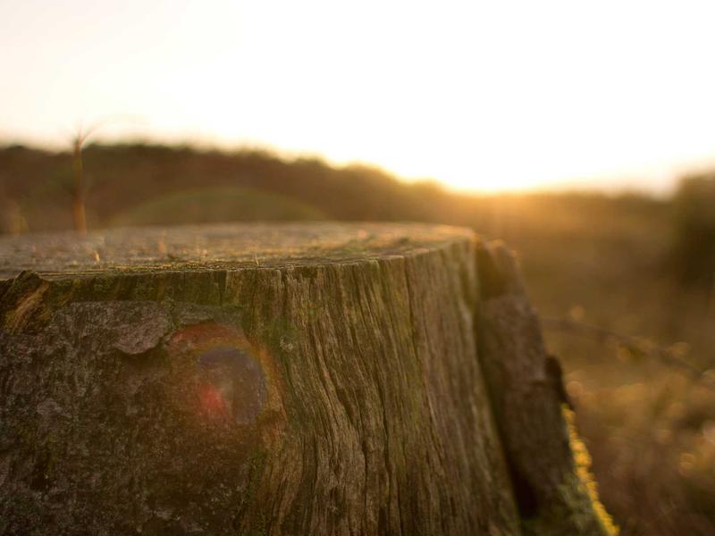 sudoku tournament screenshot 6